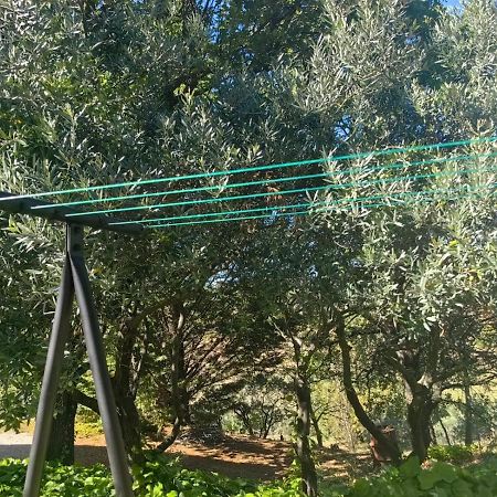 Petit Coin De Paradis En Provence 오프스 외부 사진